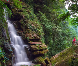 碧峰峽、上里古鎮(zhèn)二日游