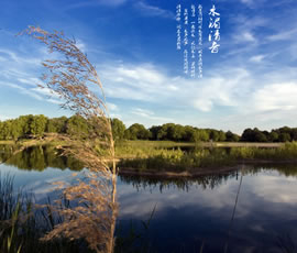 新義水鄉(xiāng)中醫(yī)藥浴康養(yǎng)、黃龍溪古鎮(zhèn)二日游