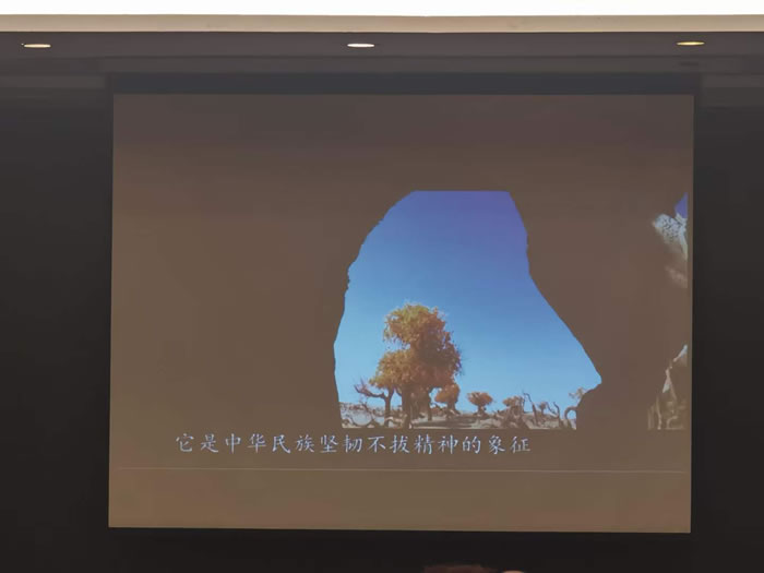 綿陽中旅行假日旅行社舉行胡楊林、南疆專列推薦會(huì)