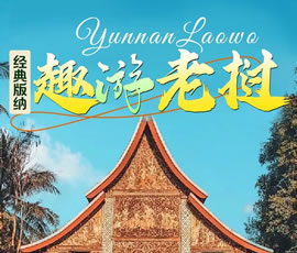 【趣游老撾 · 經(jīng)典版納】—昆明、普洱、西雙版納、磨丁、瑯勃拉邦四動(dòng)8日游