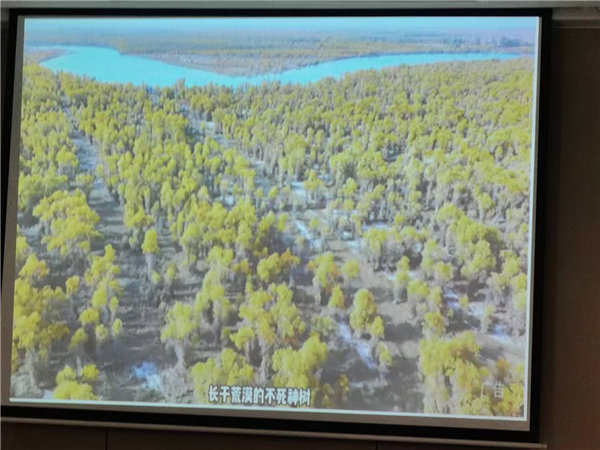 “金色胡楊 南疆盛景”秋攝漫旅行空調專列13日游